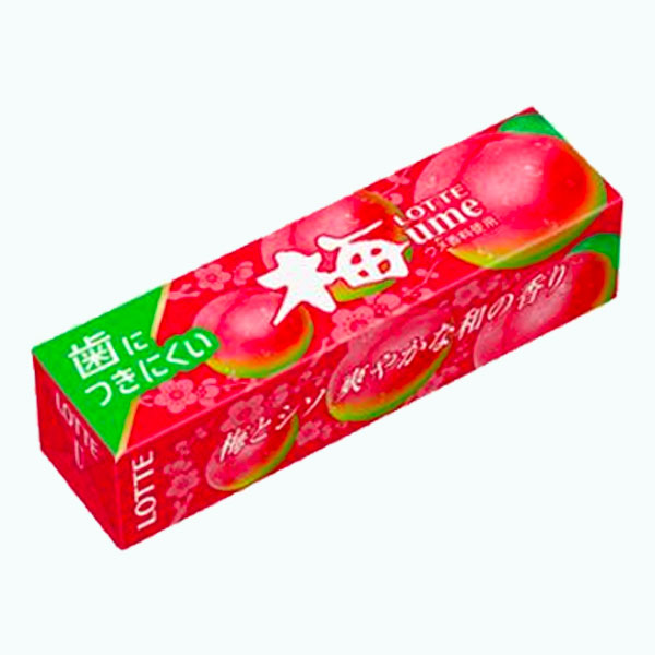 Watermelon Gum